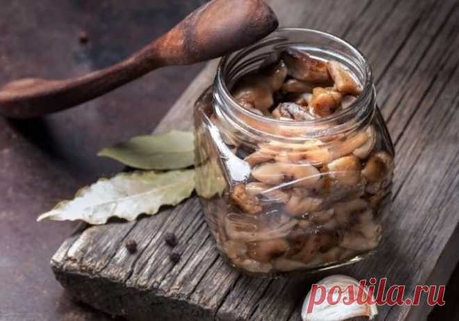 Маринованные опята - рецепт, по которому готовит уже третье поколение и ни одной неудачной банки... Рецепт маринованных опят - ни одной неудачной банки