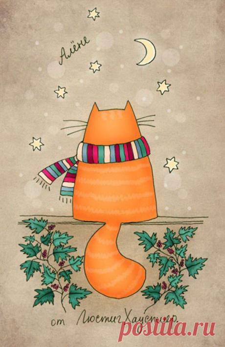 Коты и кошки повадки