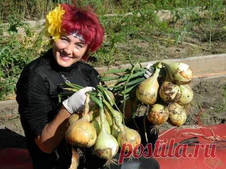 (88) Одноклассники