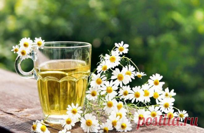 Как сделать уксус в домашних условиях