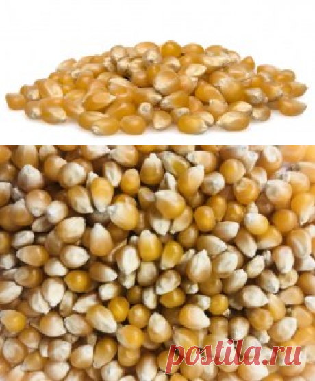 Кукуруза сушеная для попкорна купить в Москве | Шеф Орех