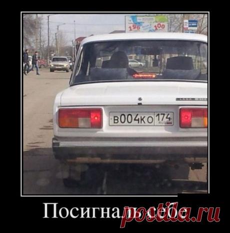 Демотиваторы 1661 » Невседома - жизнь полна развлечений