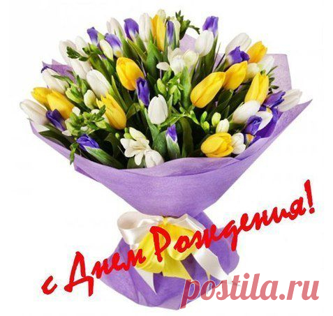 Вера Карпушина