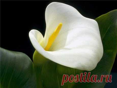 h-1990.jpg (640×480)