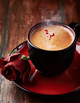 Альбом – Google+