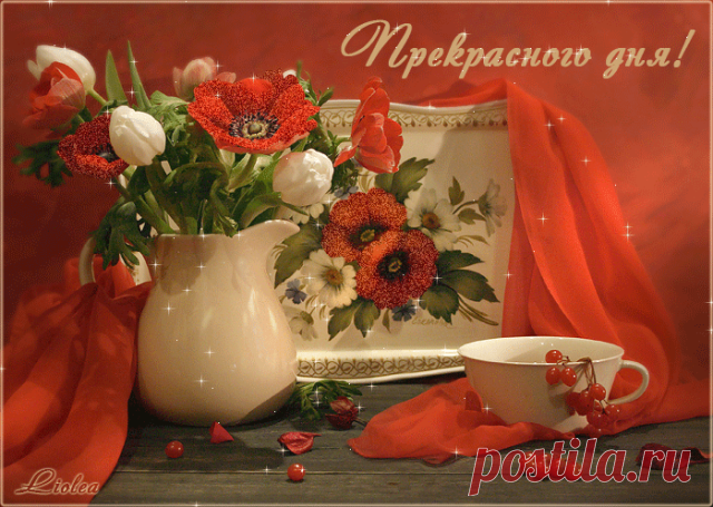 (2) Одноклассники