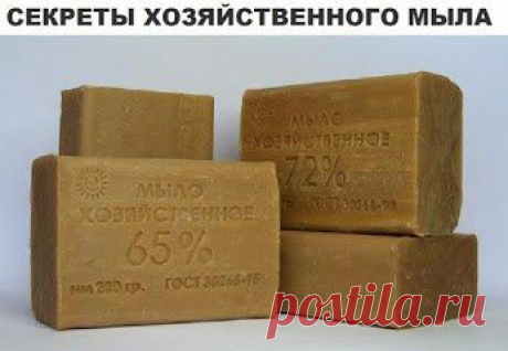 Поиск новостей по запросу врач-косметолог
