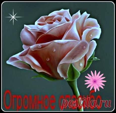 Плейкаст «СПАСИБО!»