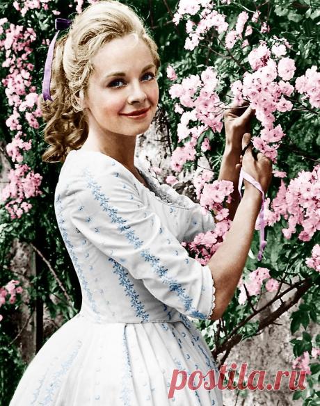 Сюзанна Йорк (Susannah York)
- 9 января, 1939 • 15 января 2011