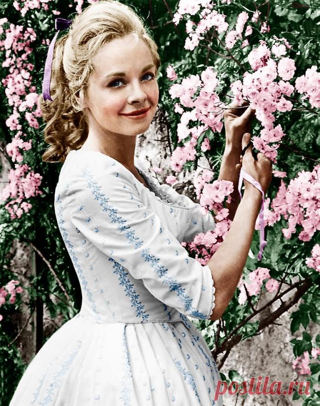 Сюзанна Йорк (Susannah York)
- 9 января, 1939 • 15 января 2011