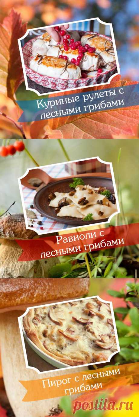 5 вкуснейших блюд из лесных грибов, от которых у вас потекут слюнки