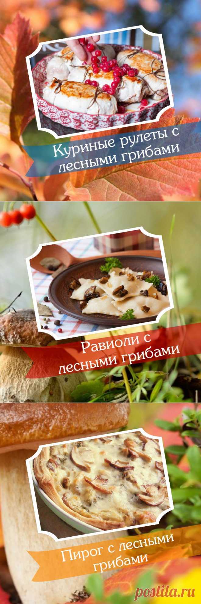 5 вкуснейших блюд из лесных грибов, от которых у вас потекут слюнки