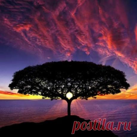 12 потрясающих фотографий заката, сделанных в разных уголках планеты
