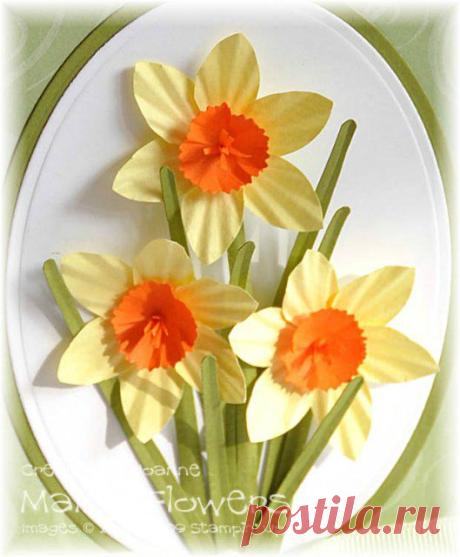 Бумажный нарцисс. Мастер-класс | Домохозяйка