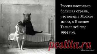 Наш быт: ироничные вопросы и выводы