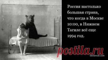 Наш быт: ироничные вопросы и выводы