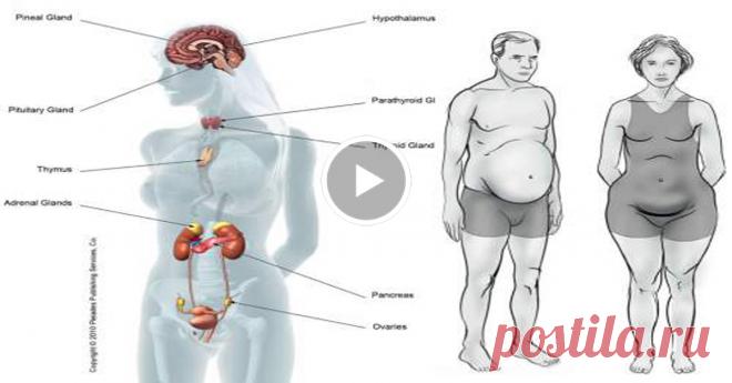 5 Продуктов, Которые Вызывают Гормональный Дисбаланс! Вы ДОЛЖНЫ ЭТО ЗНАТЬ! - Страница 2 из 2