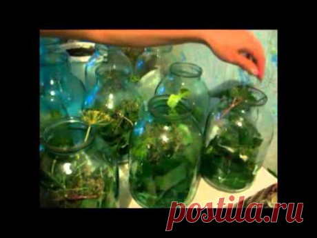 Консервация огурцов на зиму - YouTube