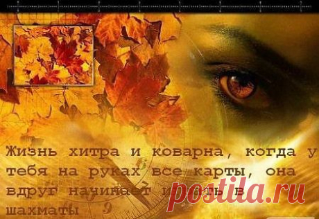 Про жизнь