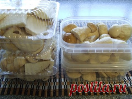 Белый гриб. Boletus edulis Отличные способы подготовки к заморозке белых грибов