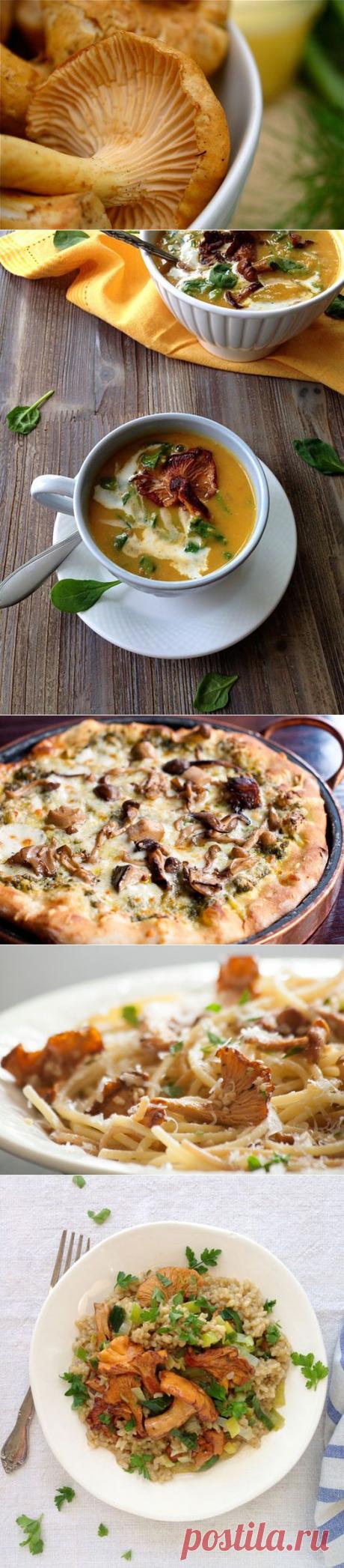 Лисички – лакомство королей;) Как и что из них приготовить? — Вкусные рецепты