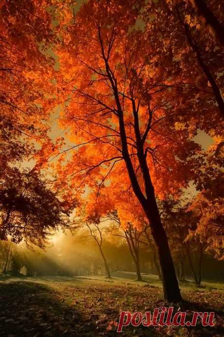 ✯ autumn  |  Найдено на сайте autumncozy.tumblr.com.