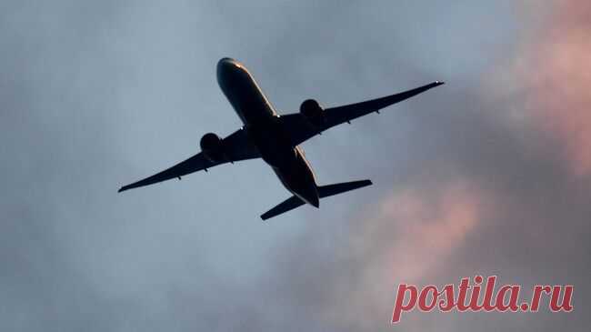 В прошлом году перевозки между Россией и ОАЭ выросли в два раза