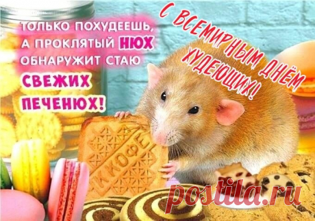 Сегодня худеющих день – это так!
Возьмём свою волю с тобою в кулак