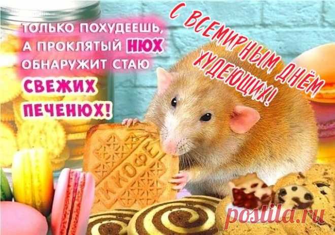 Сегодня худеющих день – это так!
Возьмём свою волю с тобою в кулак