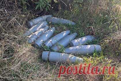 В Херсонской области силовики обнаружили схрон артиллерийских снарядов. В Херсонской области российские силовики обнаружили схрон с артиллерийскими снарядами. Тайник с шестью артиллерийскими снарядами калибра 152 миллиметра был найден в лесополосе возле села Новокиевка Все обнаруженные боеприпасы было решено уничтожить на месте. Для это использовали накладной заряд тротила.