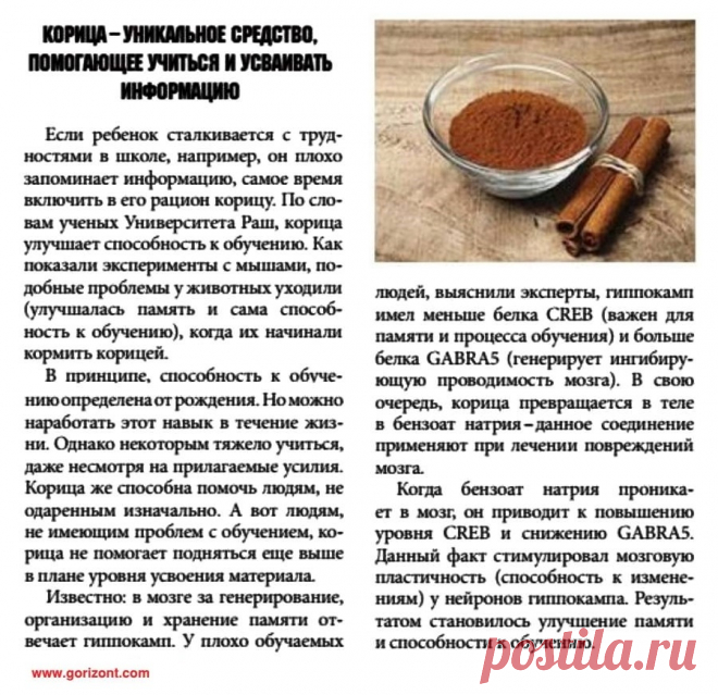 Корица - уникальное средство для улучшения памяти и способности к обучению