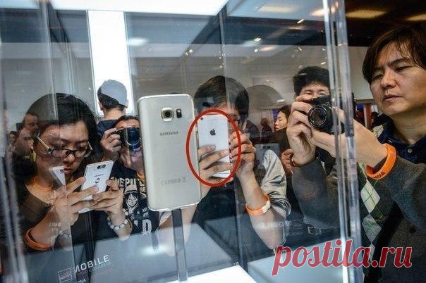 Samsung для презентации Galaxy S6 наняла 500 человек, которые изображали фанатов компании. / Занимательная реклама