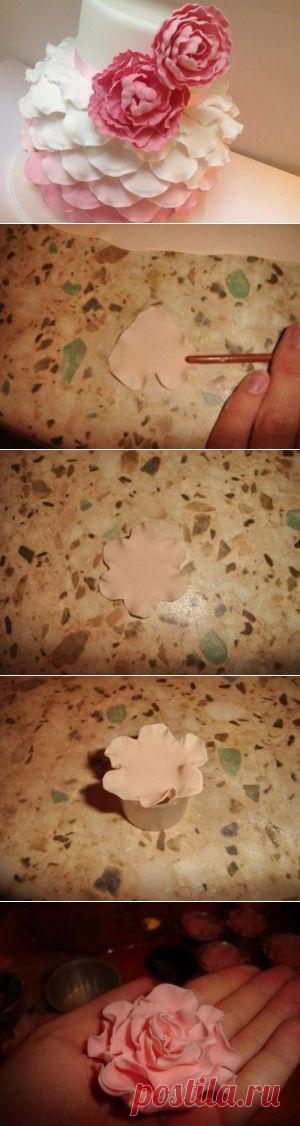 Как сделать пион из мастики - мастер-класс пиона из мастики в домашних условиях с фотографиями