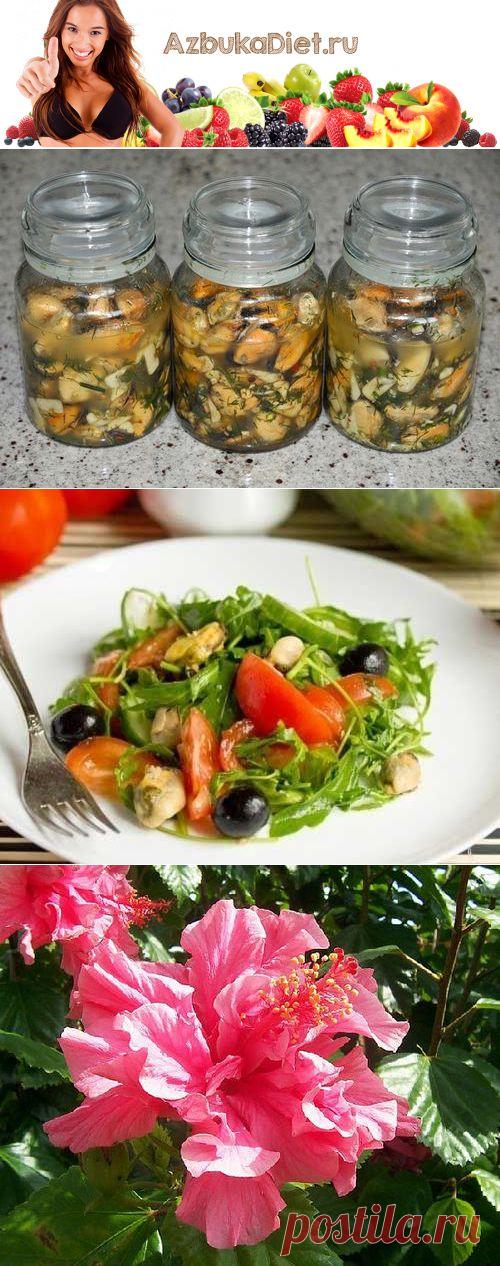 Мидии: польза и вред, рецепты, калорийность. Мидии для похудения.