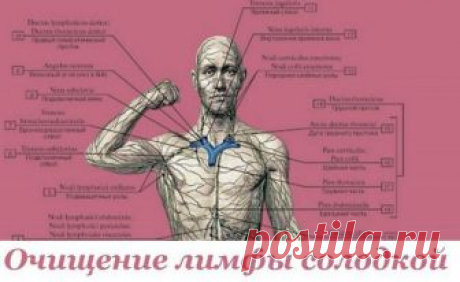 Как очистить собственную лимфу? Страшно представить себе, что происходит с нашей лимфой, если мы пьем мало воды. Она превращается в настоящее стоячее болото!