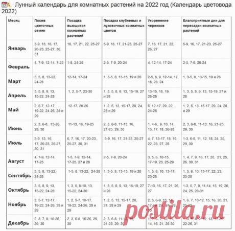 Лунный календарь для работы с растениями
Для тех, кто придерживается дат))
Я календарями не пользуюсь, занимаюсь цветами, когда есть желание и возможность, единственное, стараюсь не проводить работ на полнолуние.
На всякий случай сохраню