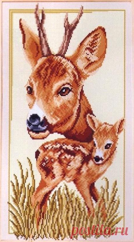 Gallery.ru / Zdjęcie nr 6 - 106 - saltic