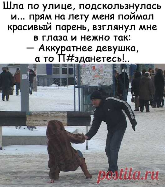 Смех, юмор, приколы и котики. – Google+