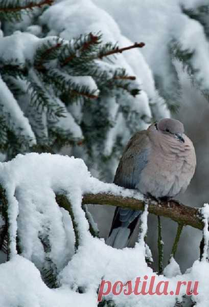 (10) Tumblr