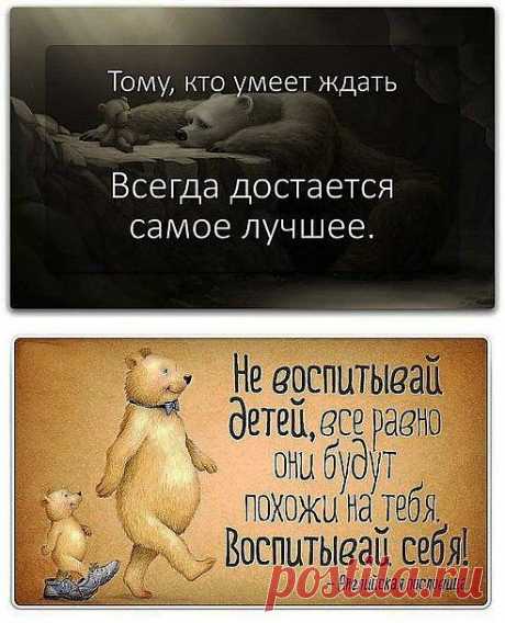 (74) Одноклассники