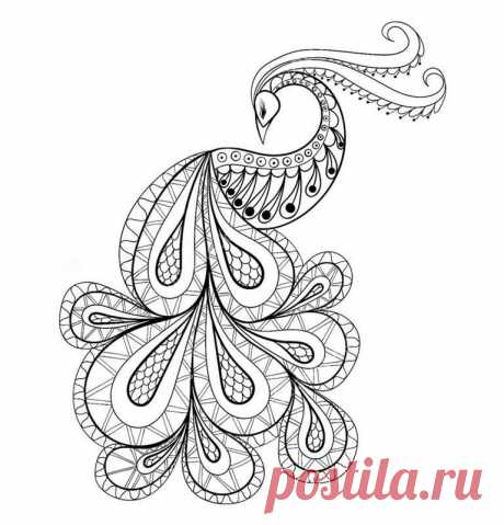 жар птица рисунки: 56 тис. зображень знайдено в Яндекс.Зображеннях