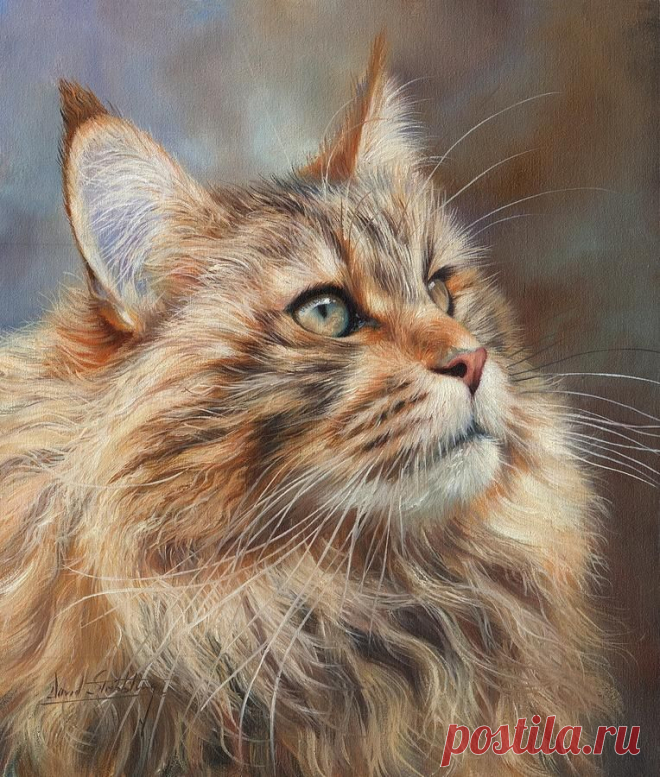 Английский художник Devid Stribbling. Дикие животные