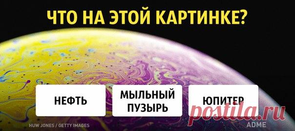 Только 1 человек из 50 может отгадать, что изображено на этих снимках: ↪ Залипательно.
