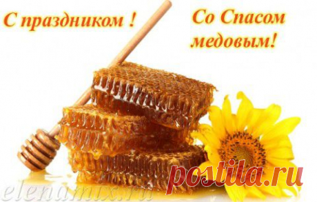 С МЕДОВЫМ СПАСОМ! - 14 августа. | ДОСТОЙНАЯ ЖИЗНЬ НА ПЕНСИИ