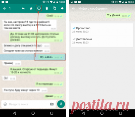 5 фишек WhatsApp для продвинутых пользователей