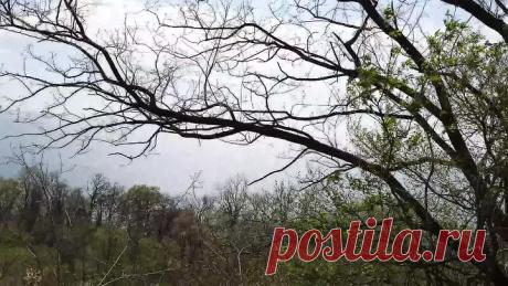 Какая красота! Чёрное море. Вид с горы