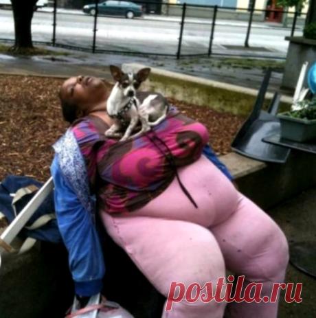 19 веселых фотографий, доказывающих, что здоровый сон может настигнуть где угодно