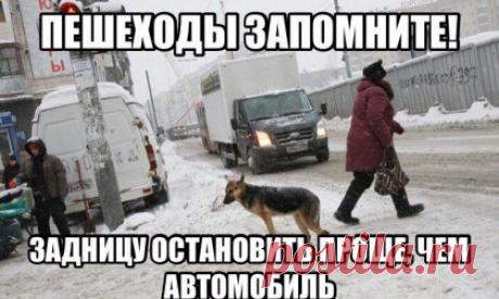 Автокурьёзы №2

Обзор веселых и познавательных картинок