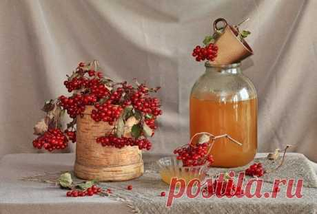 ЗАГОТОВКИ НА МЕДУ.