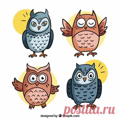 Коллекция творческой мультяшной совы Более миллиона свободных векторов, PSD, фотографии и бесплатные иконки. Эксклюзивные халявы и все графические ресурсы, которые необходимые для ваших проектов